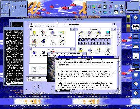 Windows 3.11 for WorkGroups running in Dosemu (shared Cmap).